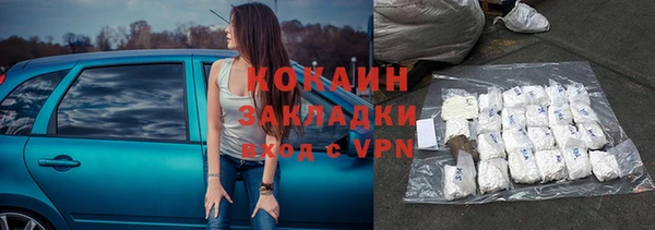 шишки Пестово