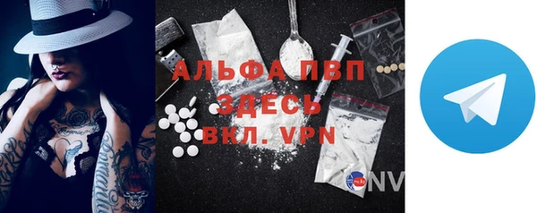 дмт Пересвет