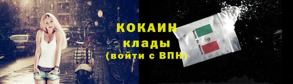 шишки Пестово