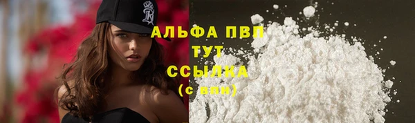 дмт Пересвет
