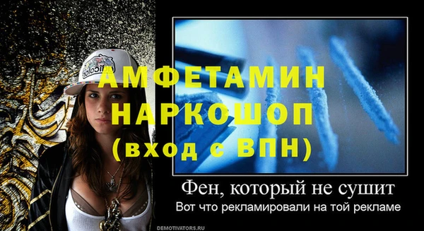 дмт Пересвет