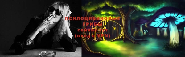 шишки Пестово