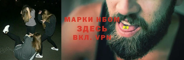 шишки Пестово