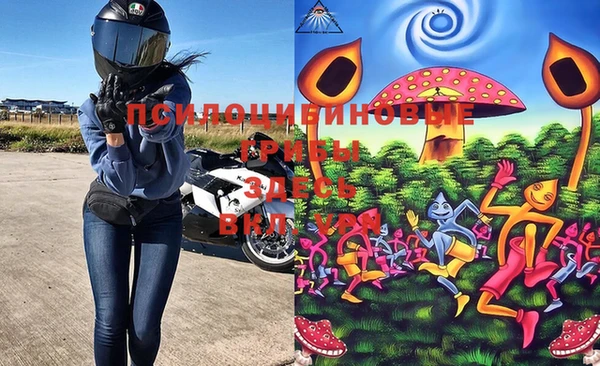 дмт Пересвет