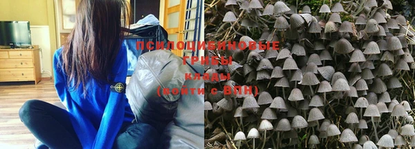 шишки Пестово