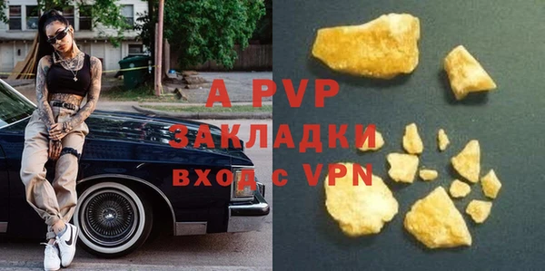 шишки Пестово