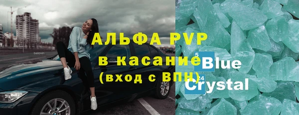 дмт Пересвет