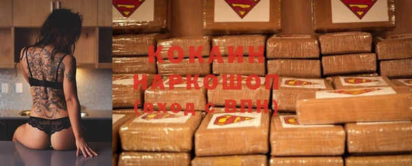 шишки Пестово