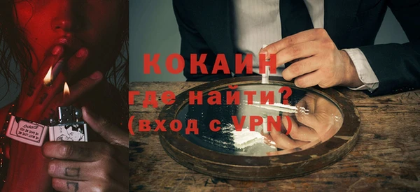 дмт Пересвет