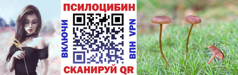 Купить закладки  Хотьково  Псилоцибиновые грибы прущие грибы 